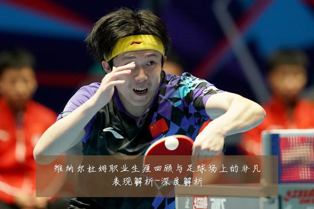 维纳尔杜姆职业生涯回顾与足球场上的非凡表现解析-深度解析